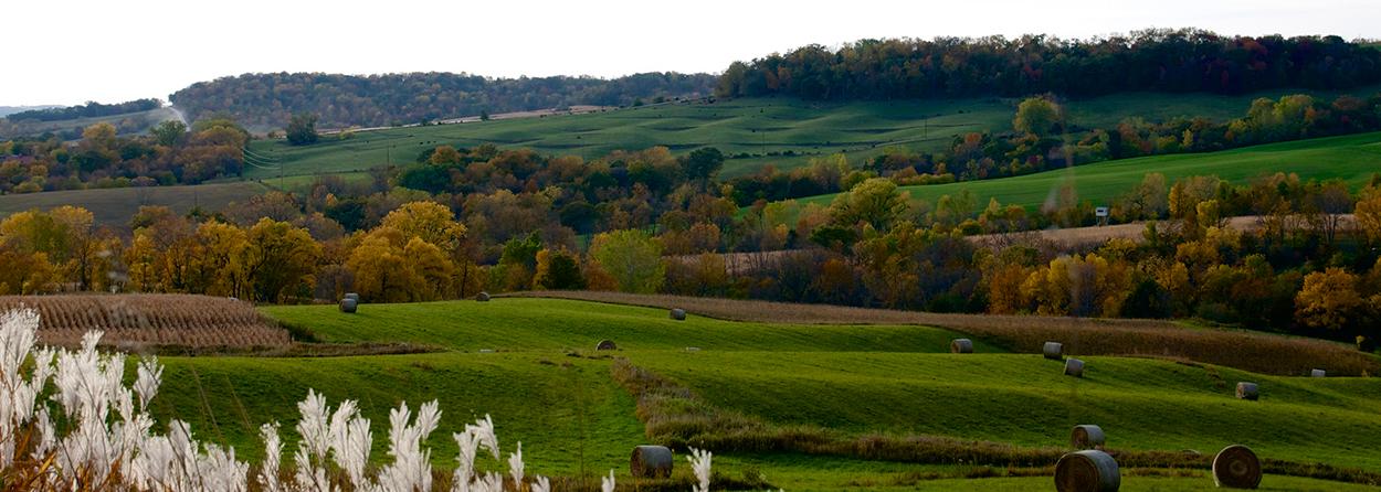 Iowa Landscape